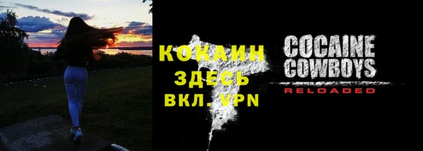 соль ск Алексин