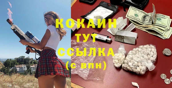 соль ск Алексин