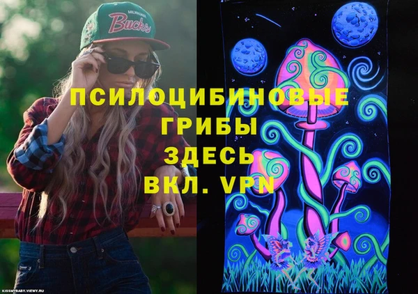 соль ск Алексин