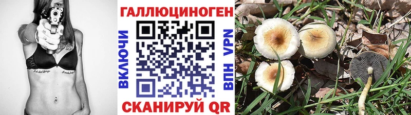 Псилоцибиновые грибы Psilocybe  Аркадак 